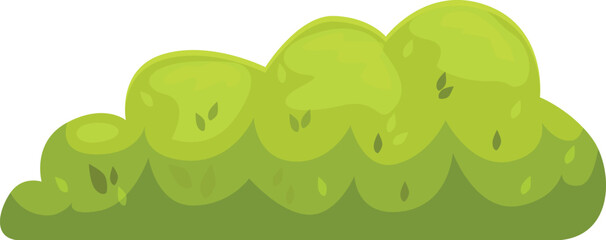 Green bush with round leaves growing in the garden