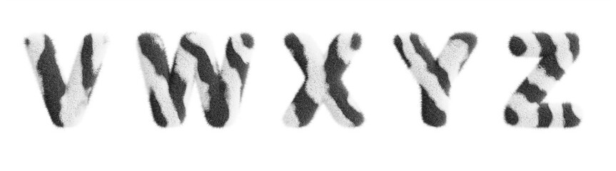 Zebra fluffy font letters V, W, X, Y, Z with african wild animal skin print. English alphabet for kids with fur striped pattern and white black hairy texture, isolated render icon set