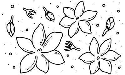 Seamless floral pattern with jasmine flower and leaves, a decorative vector design for a spring or summer backdrop