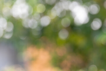  beautiful abstract image of a green bokeh background. The soft, out-of-focus circles create a dreamy and ethereal atmosphere.