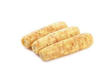 Fresh Sweet Corn Cobs Isolated on White Background - Golden Yellow Kernels