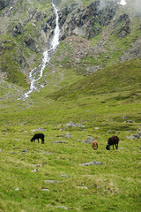 Rifflbach stream not far from Pitztaler glacier, the Austrian Alps	