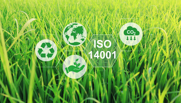 ISO 14001 Environmental Management System concept with green background enhancing competitive advantage to environmental responsibility and achieve economic benefit such as reduced waste and cost