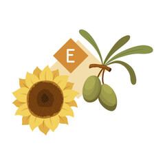 Nutrient Rich Sunflower and Olive Oil Composition Illustration