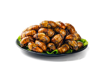 Cooked Cicada Pupae Traditional Asian Delicacy Cuisine Henan Province China
