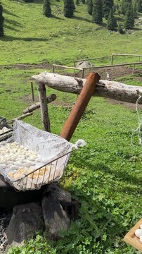 Kyrgyz people drying national food kurut in the mountains of kyrgyzstan