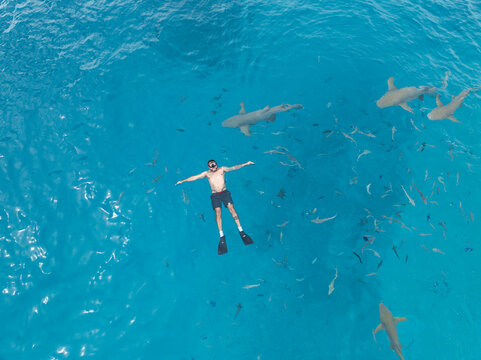 A man is swimming in the ocean with sharks swimming behind him. He is wearing a black wetsuit