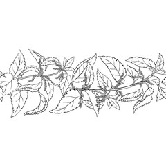 Nettle Plant with Flowers and Leaves Outline Horizontal Seamless Pattern. Vector isolated for design or decoration.