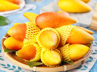 Fresh Mango Fruits in Protective Foam Nets in Bamboo Basket - Tropical Exotic Fruit Display