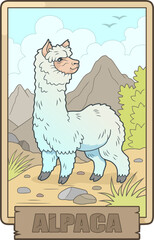 cute funny alpaca, illustration design