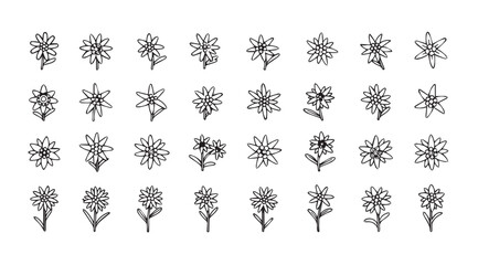 Collection of delicate floral silhouettes in a grid pattern silhouette