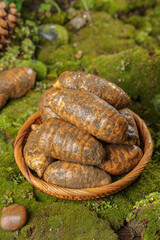 Freshly Dug Wild Tianma Tubers Zhaotong Alpine Forest Harvest Medicinal Herbs Wicker Basket