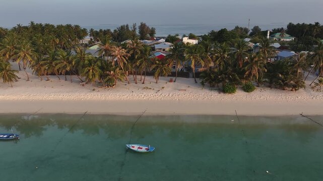 Aerial view of a serene beach adorned with palm trees, showcasing the tranquil turquoise waters gently lapping against the shore at blue hour, Naavaidhoo, Haa Dhaalu Atoll, Maldives.