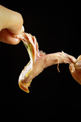 Hand-torn Salt-baked Chicken with Pepper Seasoning Chongqing Style Chinese Cuisine