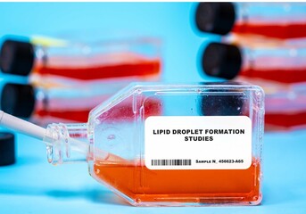 Lipid Droplet Formation Studies Studying the formation and