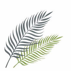 Obraz premium Minimalist vector illustration featuring two tropical palm fronds in green and gray, ideal for summer, exotic decor, or vacation-themed designs