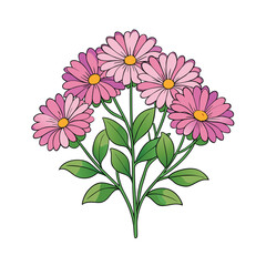 A vibrant cluster of aster flowers blooming beautifully on a clean white background for design projects