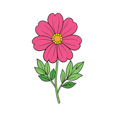 Vibrant cosmos flower with delicate green leaves set against a clean white background for versatile design applications