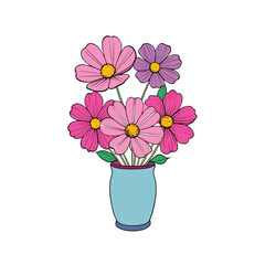 Beautiful cosmos flowers arranged elegantly in a vase on a clean white background for design