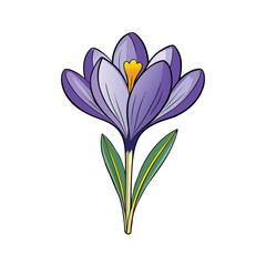 Vibrant crocus flower in full bloom presented gracefully on a clean white background