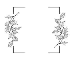 Floral black and white frame of twigs, leaves and flowers. Frames for the Valentine's day, wedding decor, logo and identity template.