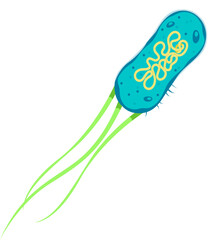 Medicine cartoon font microbe or pathogen cell punctuation slash. ABC typeset element, healthcare type vector sign. Medicine English typeface punctuation mark or medical alphabet font special symbol