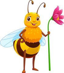 Cartoon honey bee character standing with pink flower in hand. Cheerful yellow honeybee insect personage with antennas and smiling face. Vector apiary mascot for beekeeping farm or garden pollination