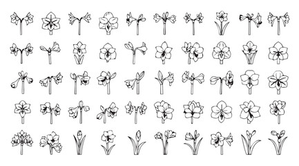 Collection of ornate floral and botanical silhouettes for decorative design elements silhouette