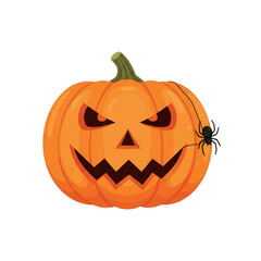 Pumpkin with Spider