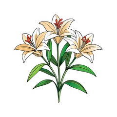 Elegant illustration of a delicate lily flower bunch with green stems and leaves on a clean white background