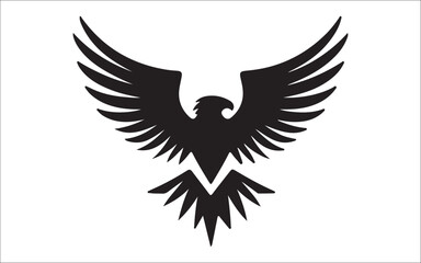 Obraz premium eagle with wings