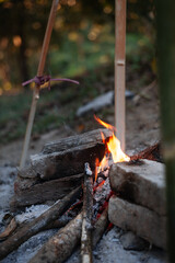 Camp fire barbecue in the forest
