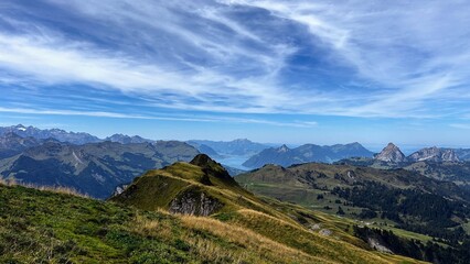 sheep, landscape, grass, mountain, farm, meadow, nature, sky, field, pasture, green, animal, grazing, rural, hill, cow, countryside, country, agriculture, mountains, herd, summer, cloud, blue, hike, h