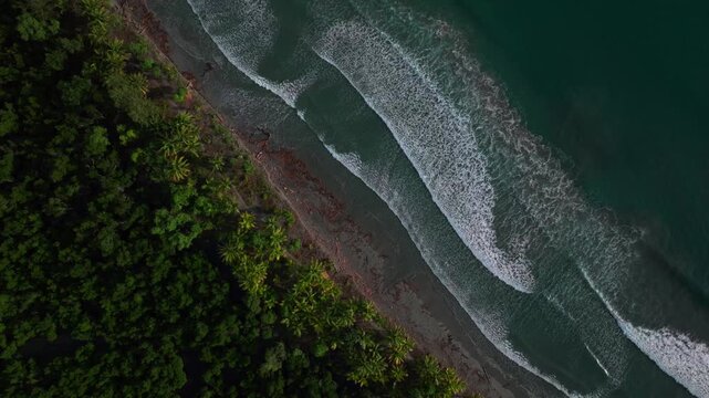 Papua New Guinea untouched remote coastline beach black sand Dogreto Bay large waves swell Wewak Madang PNG aerial drone Birdseye North New Guinea Papua island Yuo Mushi Island Harbor View forward
