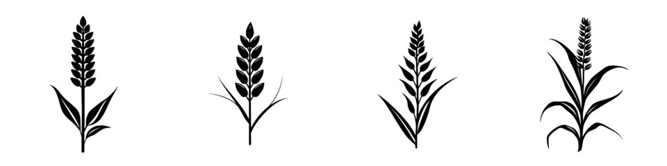 Elegant black-and-white vector illustration of wheat silhouettes showcasing different growth stages in a minimalist style