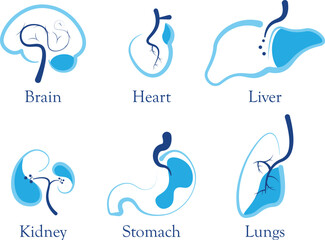 human anatomy modern design and logo collection brain, heart, liver, kidney, stomach and lungs. vector illustration.