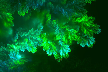 Glowing bioluminescent foliage or seaweed. Abstract green fractal art background.