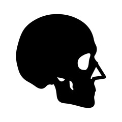 Skull head silhouette with transparent background