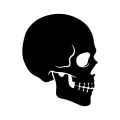 Skull head silhouette with transparent background