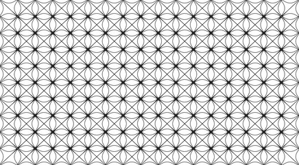 Fototapeta premium Black Geometric Pattern of Intersecting Circles and Lines