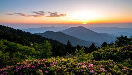 Mountaintop sunset with rhododendron bloom