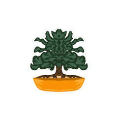 bonsai tree in a pot