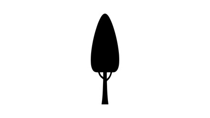 Tall tree silhouette with transparent background