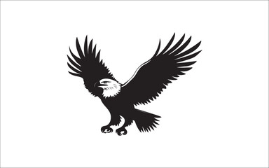 Fototapeta premium eagle vector illustration