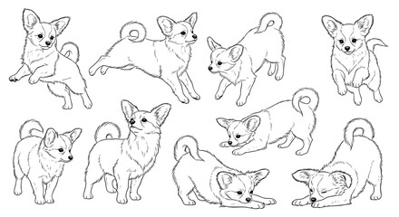 Obraz premium Nine Papillon dogs in various playful poses showcasing their energetic personality