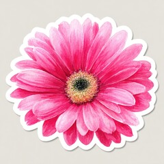 Close-up of a vibrant pink gerbera daisy