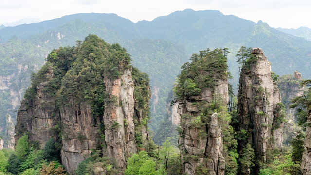 Majestic peaks of Five Finger Peak in Zhangjiajie