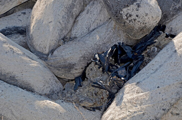 A close-up of absorbent material, polluted with black oil from a sea spill, highlighting the environmental impact and the tools used in oil spill cleanup.