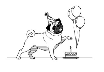 Celebrating pug dog with birthday hat, cake, and balloons