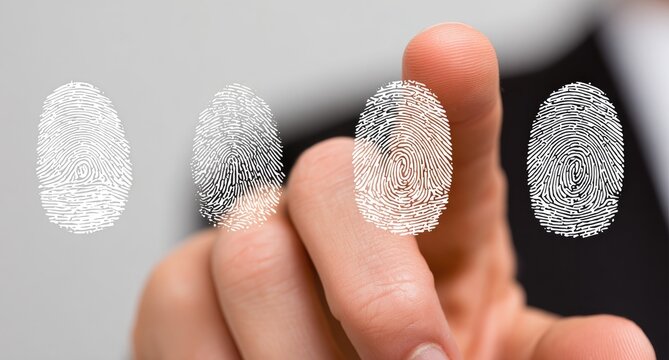 Fingerprints projected onto a fingertip,  displaying three separate impressions in grayscale